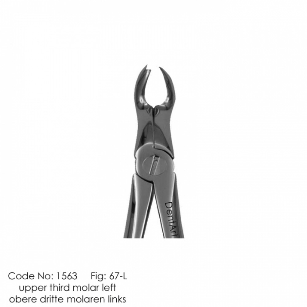 Extraction Forceps. Fig No.67 L - UK Type